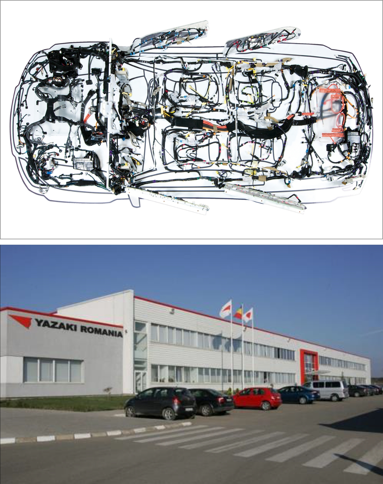 Photos of Top: An artist’s rendition of a wire harness (assembled wires for automotive) / Bottom: Factory in Romania