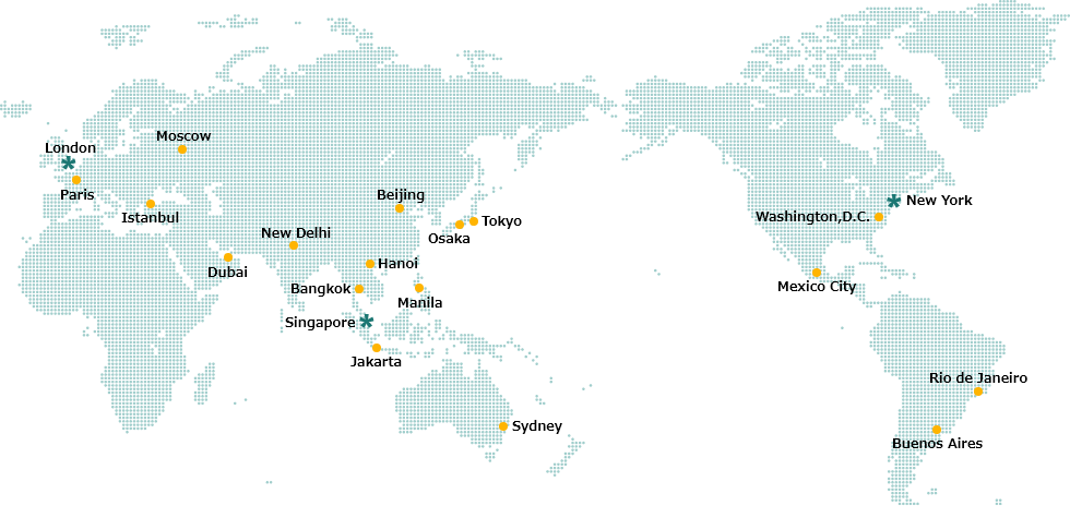 chart:Domestic and Overseas Network