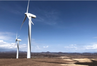Link to Environment-related Sector page