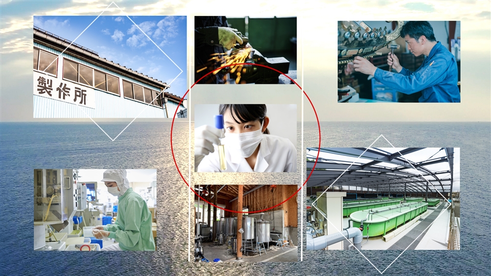 Mid-tier Enterprises and SMEs That Contribute to Achieving Sustainability Overseas (open in a modal window)