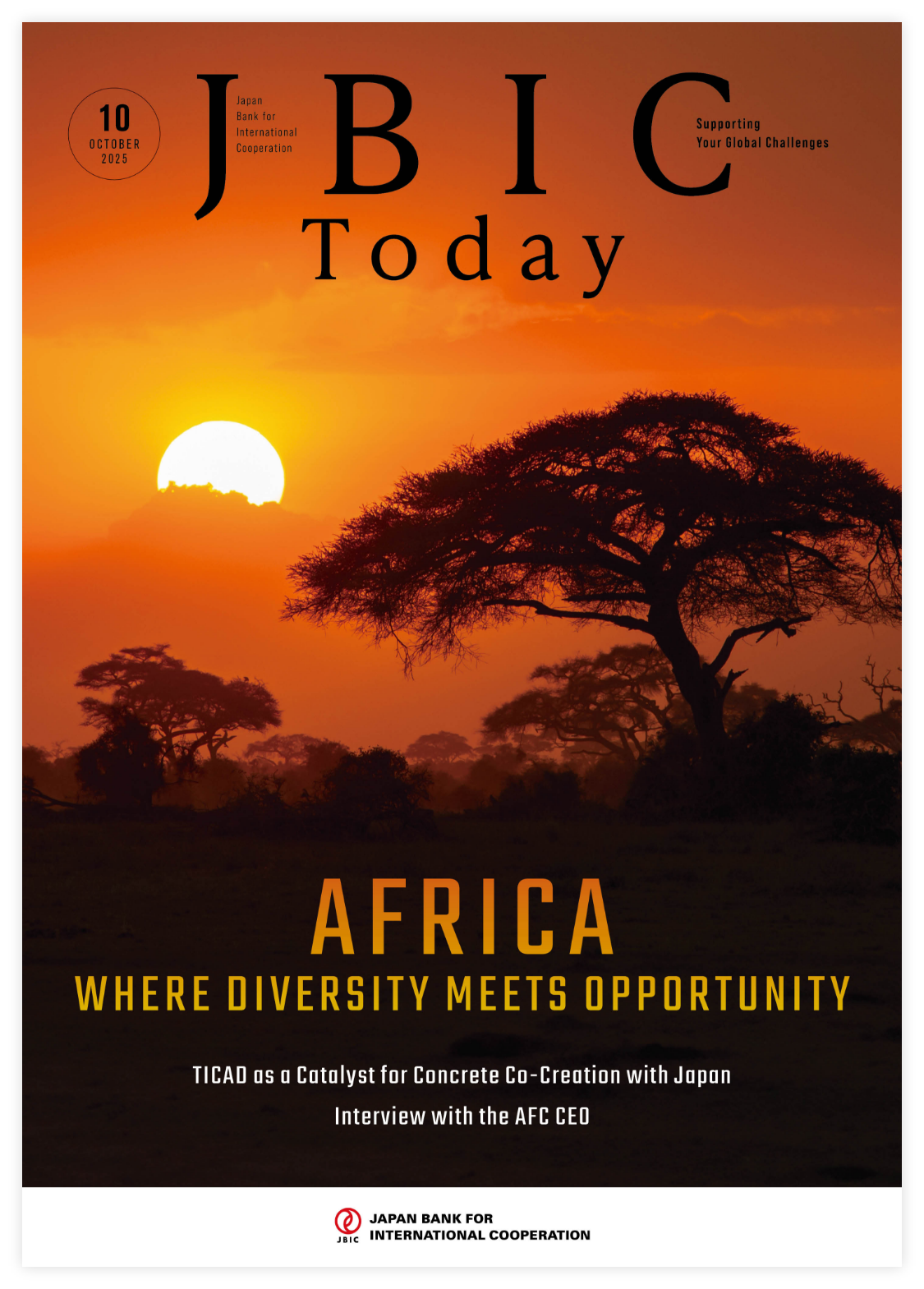Photo of AFRICA: WHERE DIVERSITY MEETS OPPORTUNITY