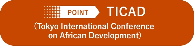 POINT TICAD (Tokyo International Conference on African Development)