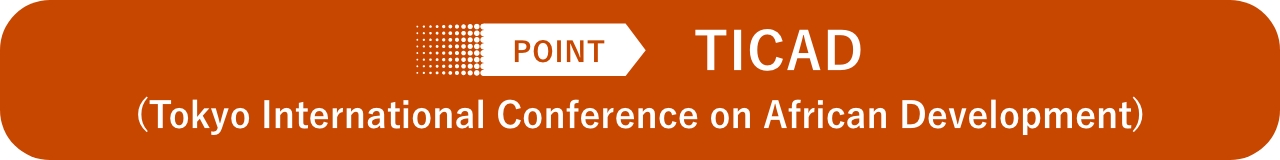 POINT TICAD (Tokyo International Conference on African Development)