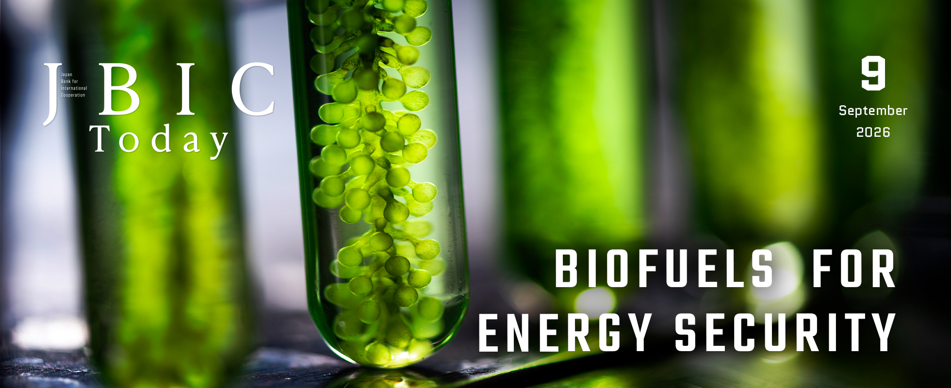 Photo of September 2026 Issue:BIOFUELS FOR ENERGY SECURITY