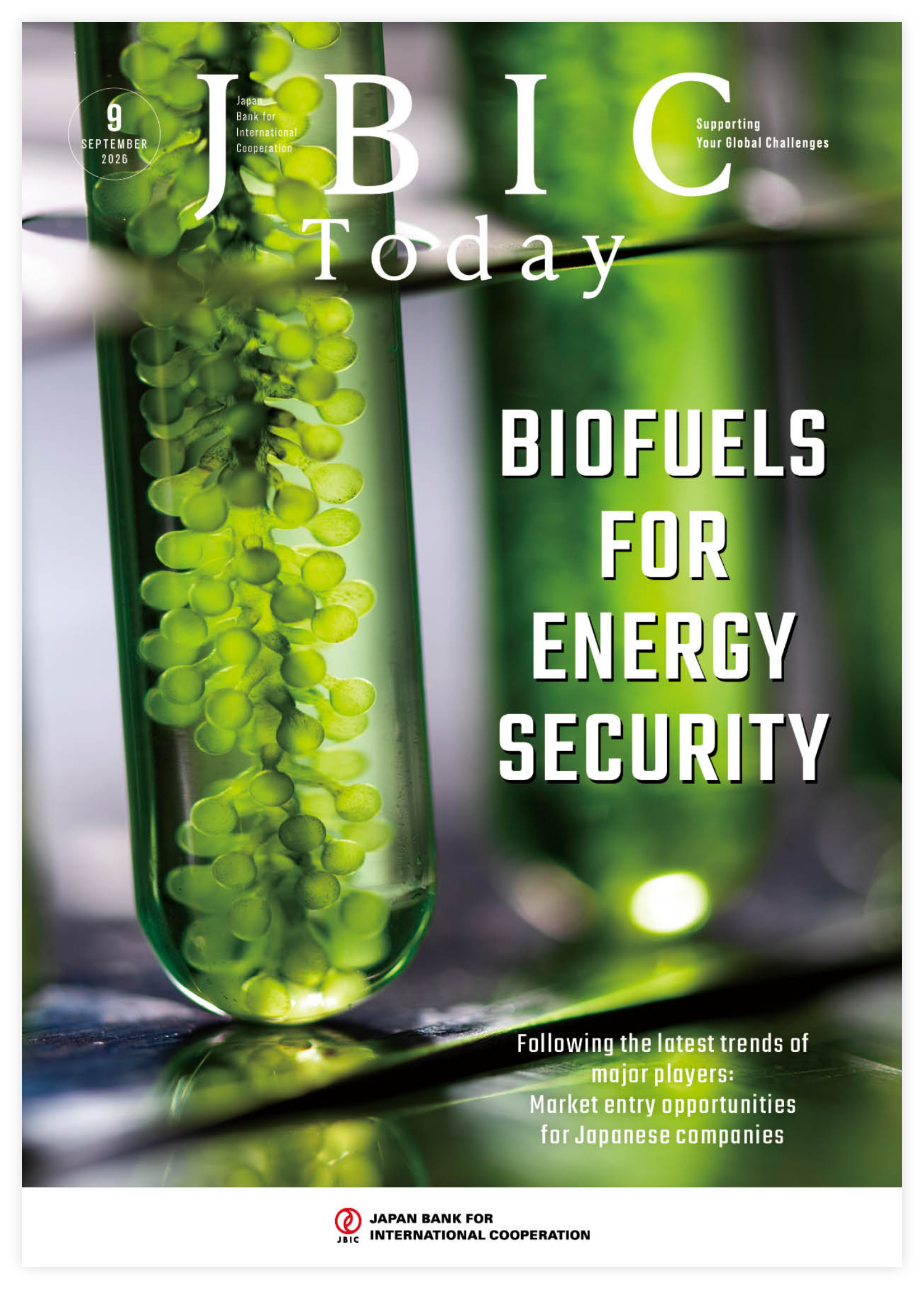 Photo of BIOFUELS FOR ENERGY SECURITY