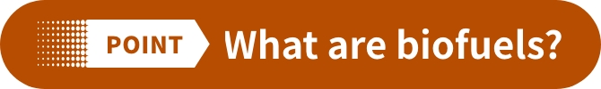POINT What are biofuels?