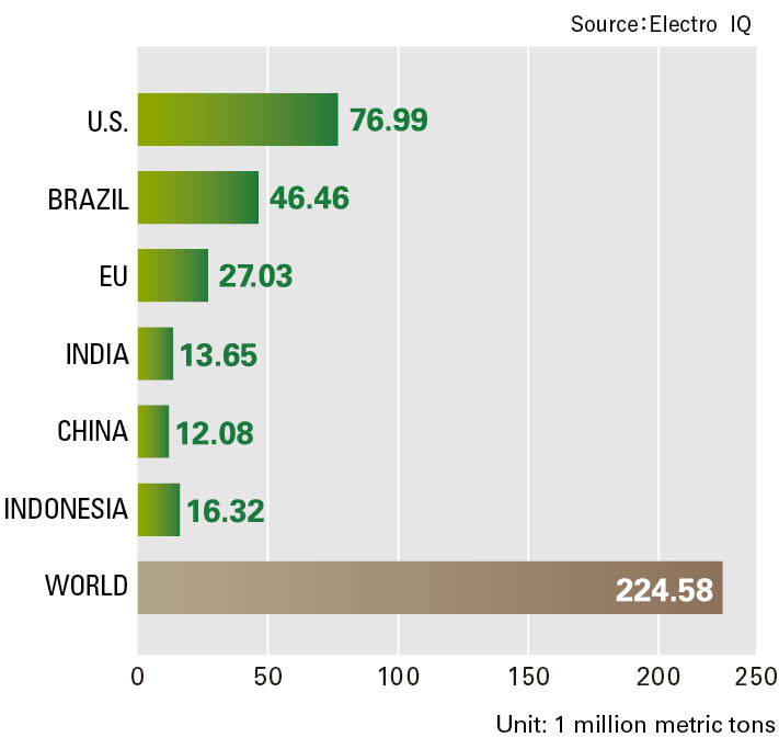 Diagram of Biofuel Consumption Projections for 2030 (by country / region)