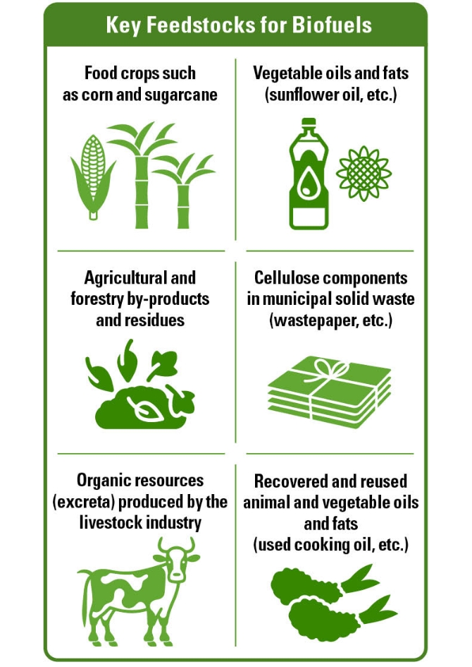 Diagram of Key Feedstocks for Biofuels