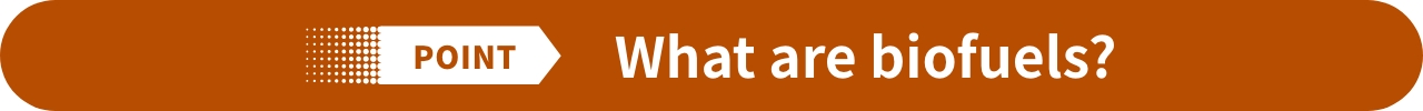 POINT What are biofuels?