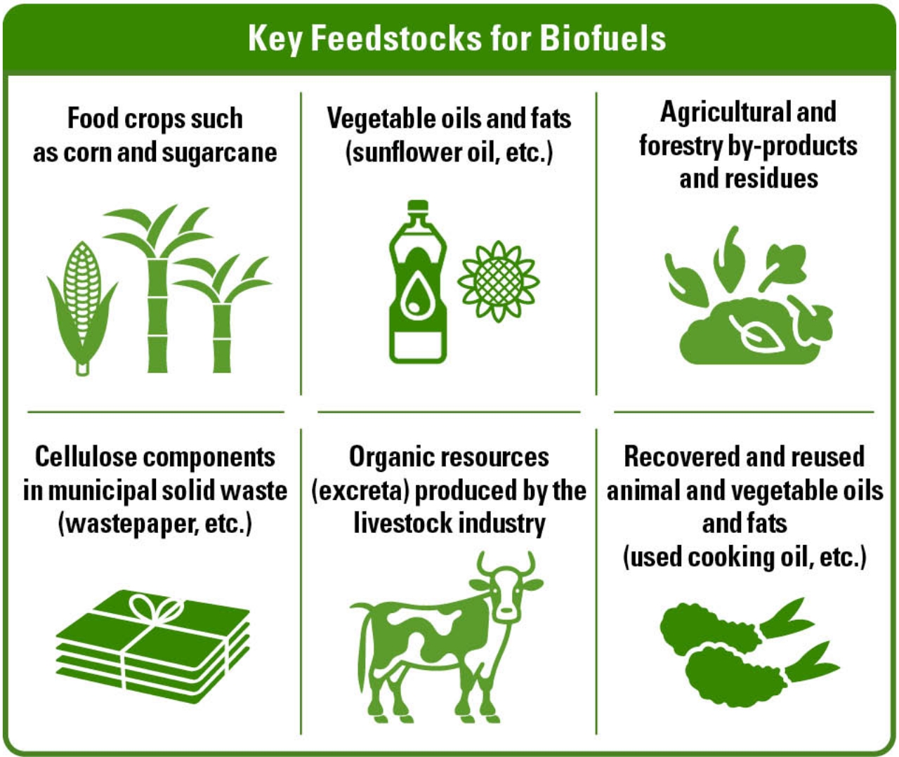 Diagram of Key Feedstocks for Biofuels