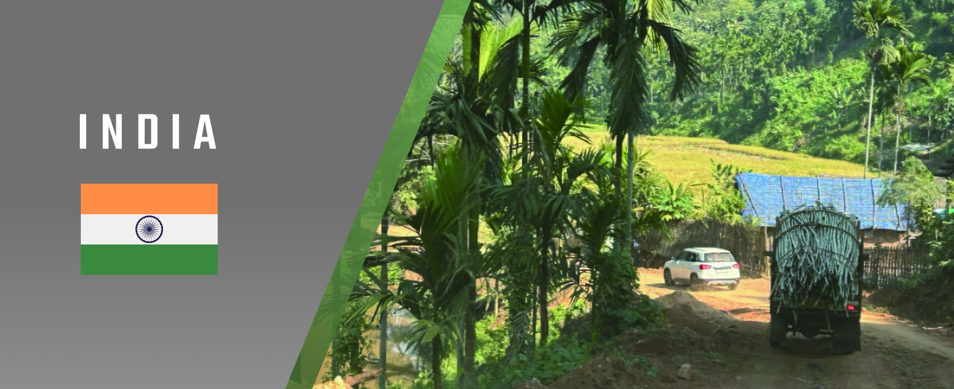 Photo of A world-first commercial production plant for bamboo-based bioethanol