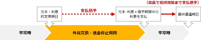 外貨交換・送金規制等のポリティカルリスクの補完図