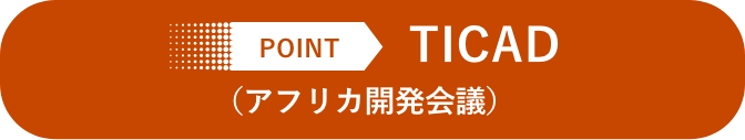 POINT TICAD(アフリカ開発会議)