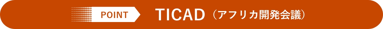 POINT TICAD(アフリカ開発会議)