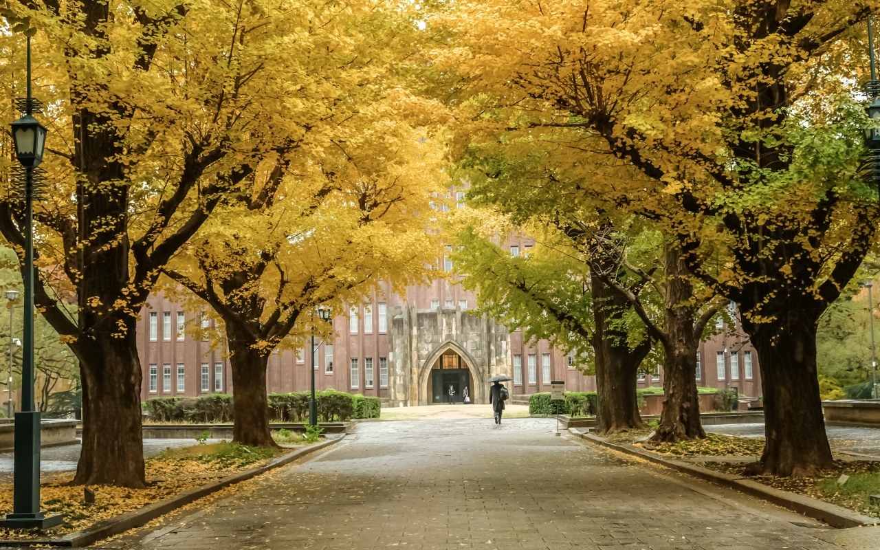 東京大学キャンパスの画像