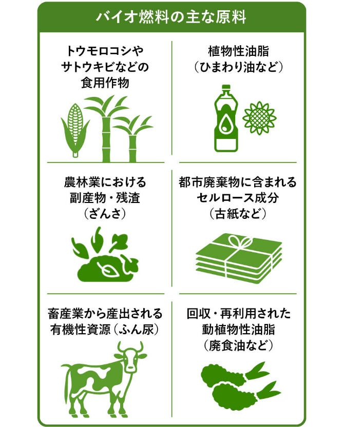 バイオ燃料の主な原料の図