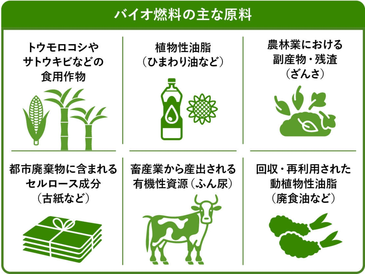 バイオ燃料の主な原料の図